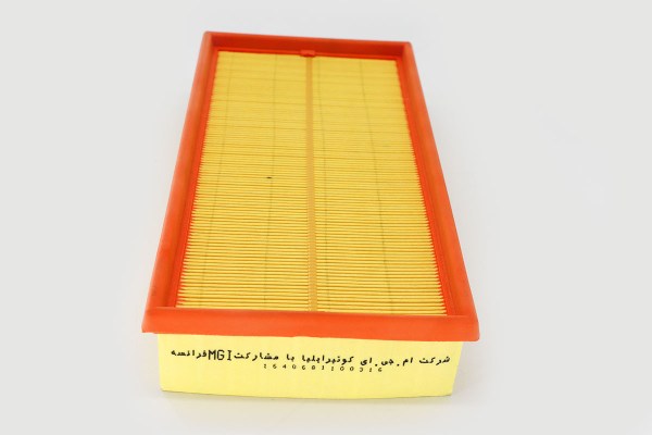 Air Filter Elements Peujeot 405 GLX 2000